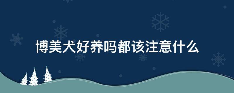 博美犬好养吗都该注意什么 博美犬要怎么样养好