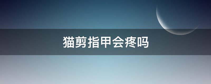 猫剪指甲会疼吗 猫指甲剪了会疼吗