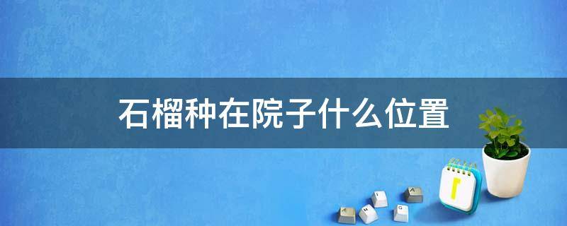 石榴种在院子什么位置（石榴树种在院子什么位置好）