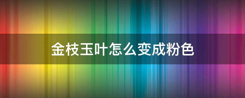 金枝玉叶怎么变成粉色 金枝玉叶怎么变成粉色静化空气