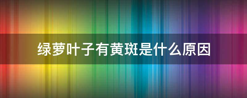 绿萝叶子有黄斑是什么原因 绿萝叶子有黄斑是什么原因 叶片