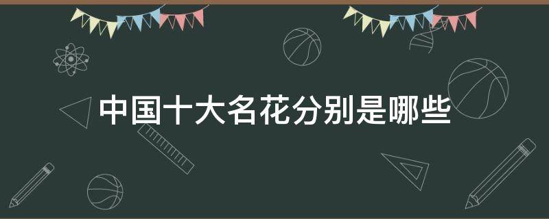 中国十大名花分别是哪些 中国的十大名花是哪些