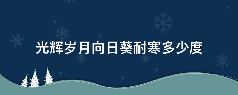 光辉岁月向日葵耐寒多少度（光辉岁月向日葵最低能耐几度低温）