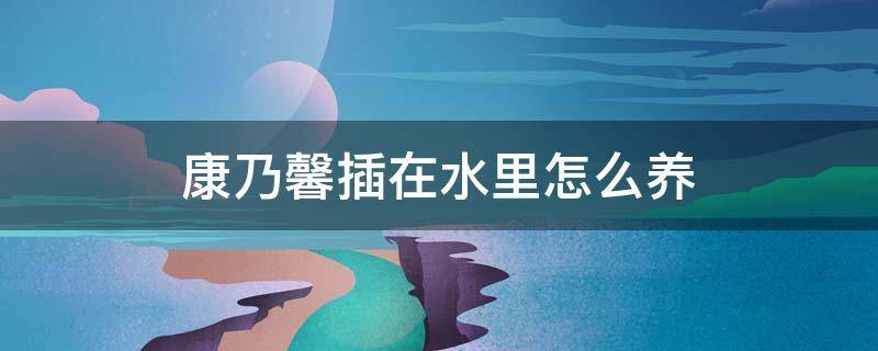 康乃馨插在水里怎么养 怎么把康乃馨在水中养活