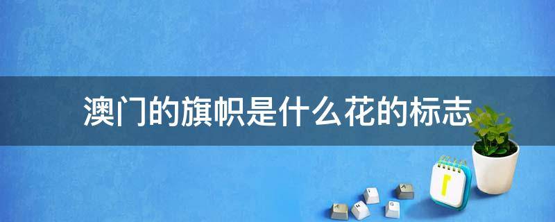 澳门的旗帜是什么花的标志 澳门是什么花为标志?