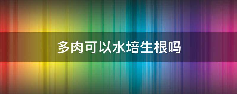 多肉可以水培生根吗 多肉植物可以水培生根吗