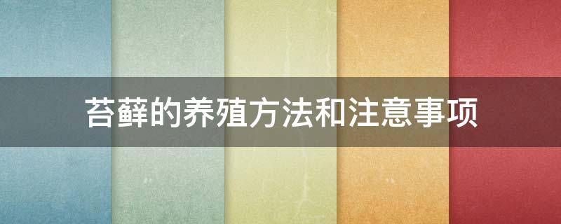 苔藓的养殖方法和注意事项（假山苔藓的养殖方法和注意事项）