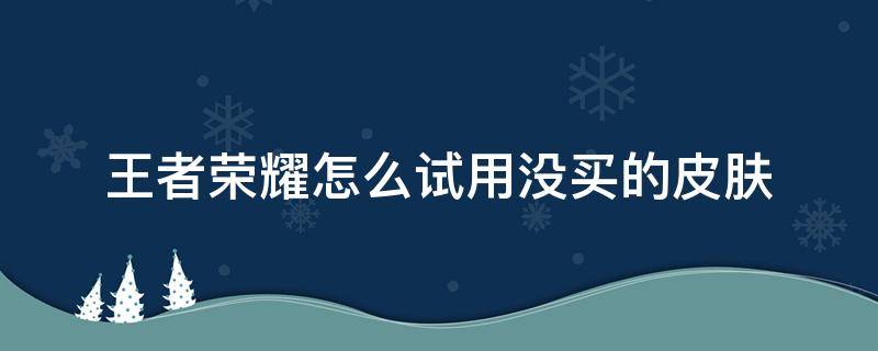 王者荣耀怎么试用没买的皮肤（王者荣耀体验英雄可以买皮肤吗）