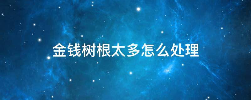 金钱树根太多怎么处理 金钱树的老根如何处理