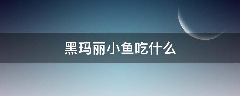 黑玛丽小鱼吃什么 黑玛丽吃小鱼吗