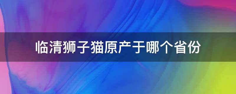 临清狮子猫原产于哪个省份（临清狮子猫是大型猫吗）