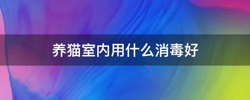 养猫室内用什么消毒好 养猫咪的家庭用什么消毒