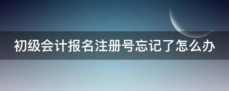 初级会计报名注册号忘记了怎么办（会计初级报名注册号没记住咋找回）