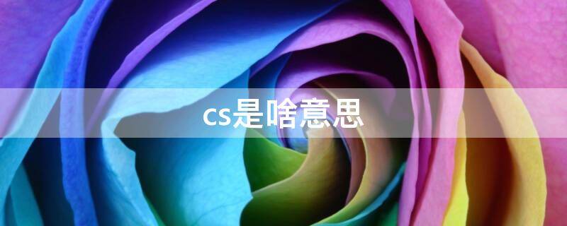 cs是啥意思 crocs是啥意思