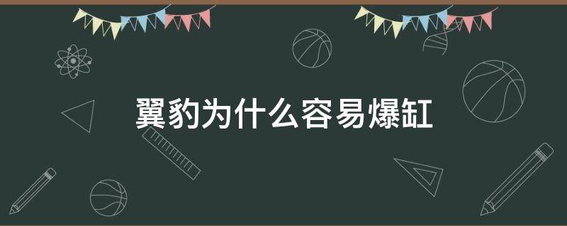 翼豹为什么容易爆缸（翼豹为什么容易爆缸视频）