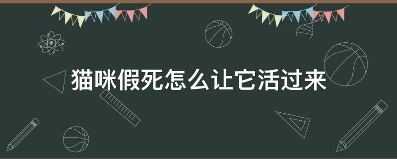 猫咪假死怎么让它活过来 猫咪会假死吗