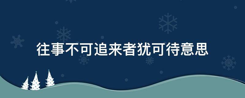 往事不可追来者犹可待意思 往事不可追,来者犹可忆