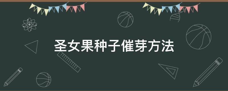 圣女果种子催芽方法 圣女果种子怎样催芽