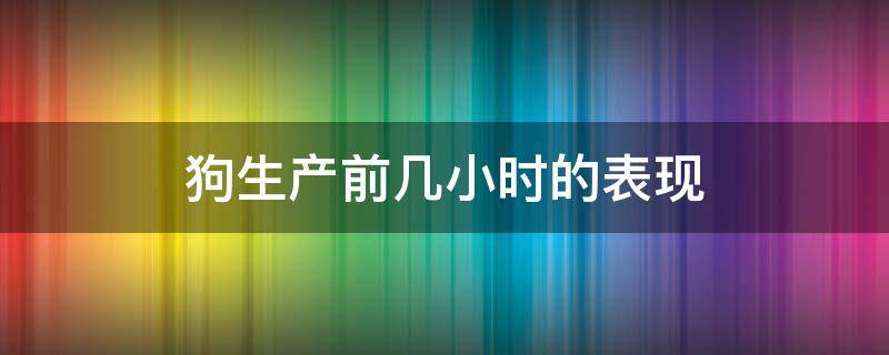 狗生产前几小时的表现 狗生产前一小时表现