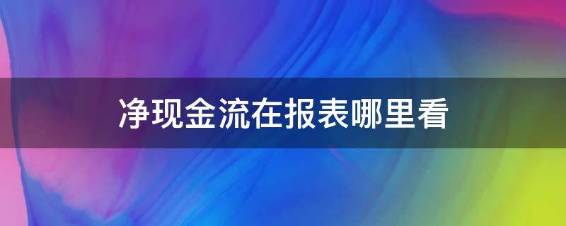 净现金流在报表哪里看 现金流量净额在财务报表怎么看