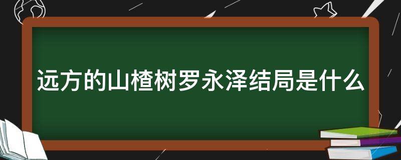 远方的山楂树罗永泽结局是什么（宋赫男最后跟谁在一起了）