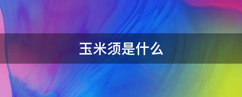 玉米须是什么（玉米须是什么样子）