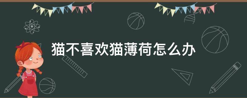 猫不喜欢猫薄荷怎么办 我家猫不喜欢猫薄荷怎么办