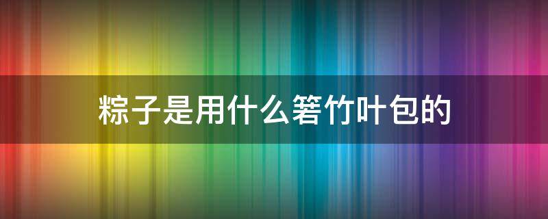 粽子是用什么箬竹叶包的 粽子是用什么箬竹叶包的,里面裹着什么糯米