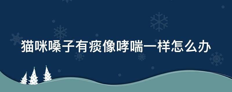 猫咪嗓子有痰像哮喘一样怎么办（猫咪嗓子像有痰呼噜是怎么回事）