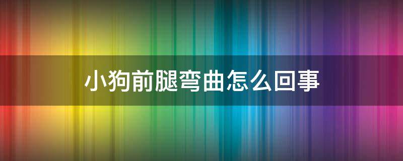 小狗前腿弯曲怎么回事（狗狗前腿弯曲怎么回事）