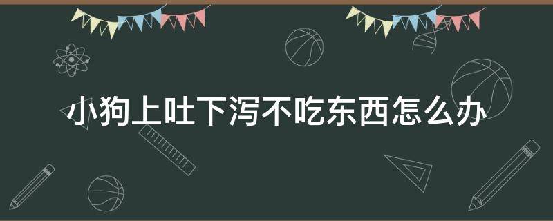 小狗上吐下泻不吃东西怎么办 狗狗上吐,下泻也不吃东西