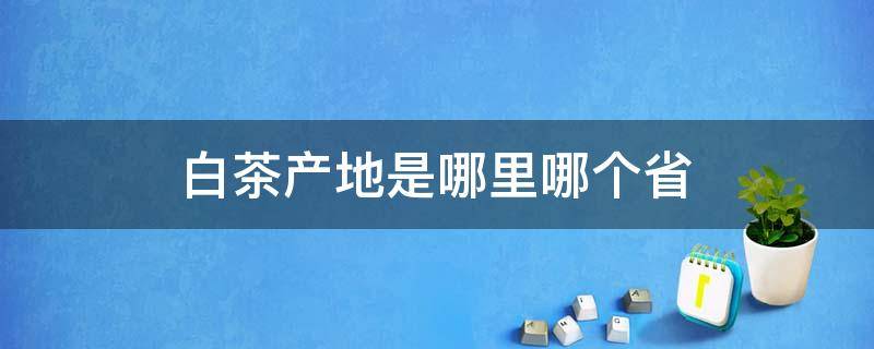 白茶产地是哪里哪个省 白茶产地在中国哪个省