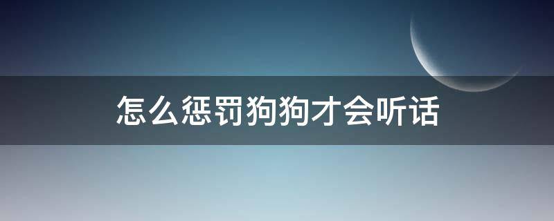 怎么惩罚狗狗才会听话 怎么惩罚不听话的狗