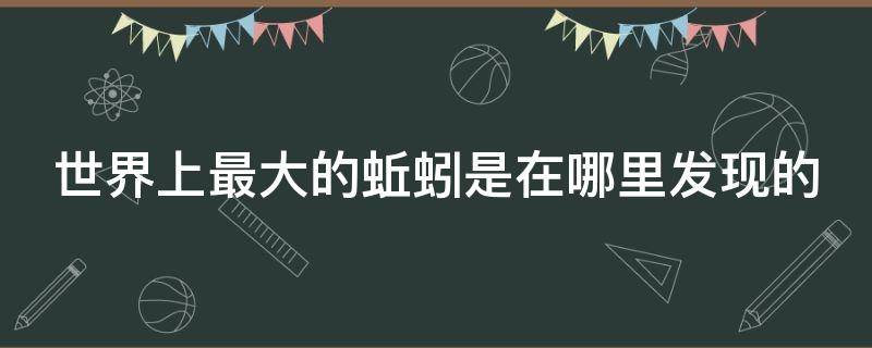 世界上最大的蚯蚓是在哪里发现的（世界上最大的蚯蚓是在什么地方发现的）