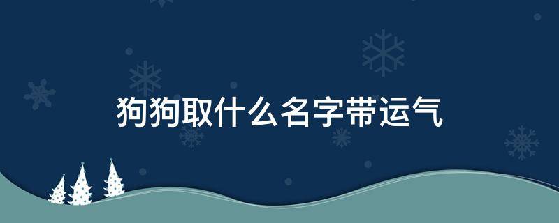 狗狗取什么名字带运气 狗狗取名带好运