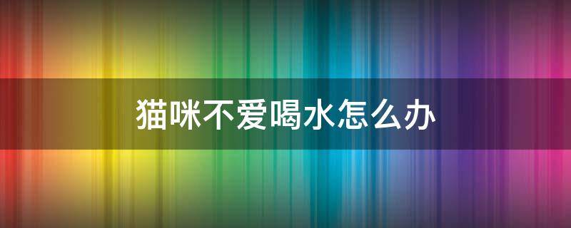 猫咪不爱喝水怎么办 三个月猫咪不爱喝水怎么办