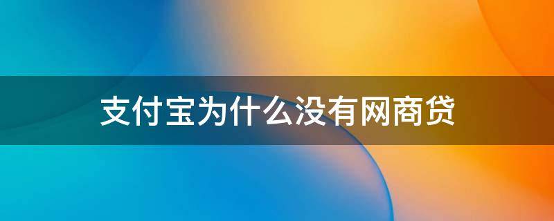 支付宝为什么没有网商贷（支付宝为什么有的没有网商贷）