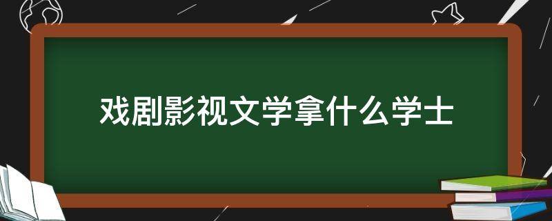 戏剧影视文学拿什么学士 戏剧影视文学第二学士学位