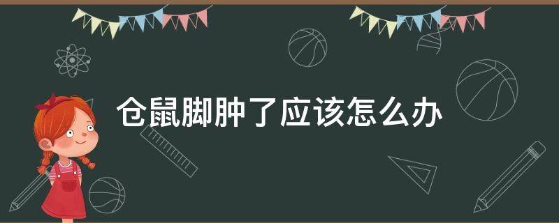 仓鼠脚肿了应该怎么办（仓鼠脚肿了怎么回事）