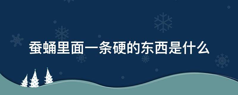 蚕蛹里面一条硬的东西是什么（茧蛹体内的硬东西是什么）