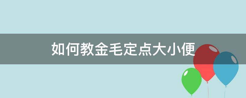 如何教金毛定点大小便 怎样教金毛定点大小便