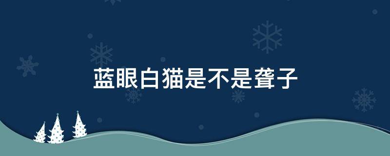 蓝眼白猫是不是聋子 蓝眼白猫是聋子吗