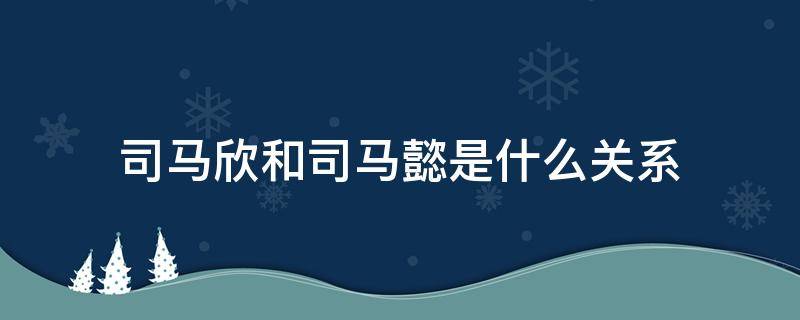 司马欣和司马懿是什么关系（司马欣跟司马懿什么关系）