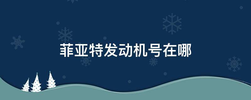 菲亚特发动机号在哪 菲亚特发动机号在哪个位置