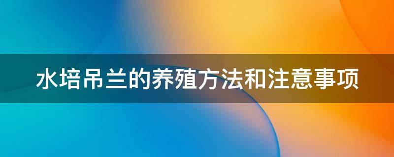 水培吊兰的养殖方法和注意事项（水培吊兰的养殖方法和注意事项吊）