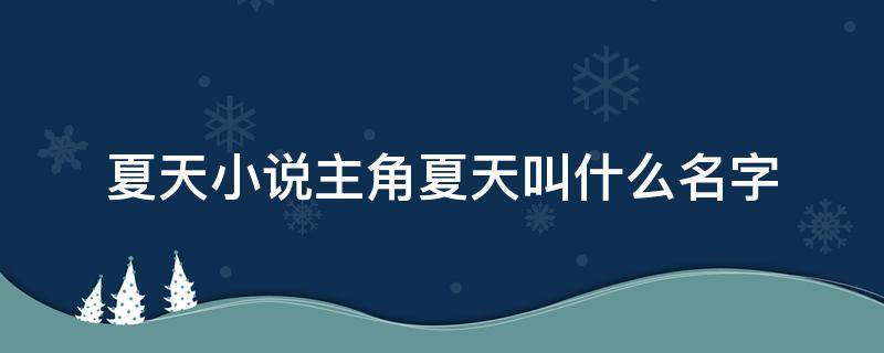 夏天小说主角夏天叫什么名字（夏天主角的那个小说叫什么名字）