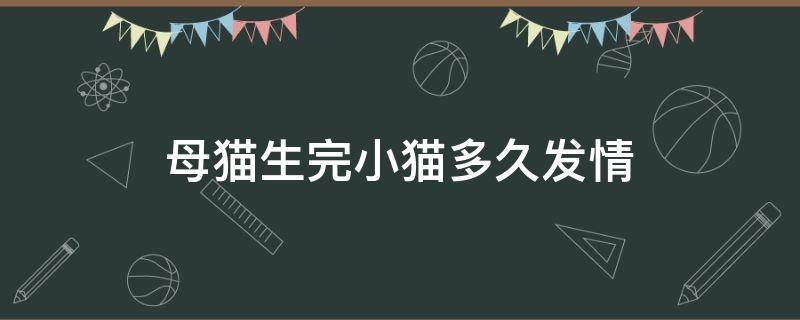 母猫生完小猫多久发情（母猫生完小猫多久后可以再怀孕）