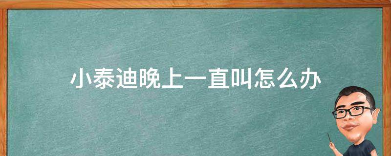 小泰迪晚上一直叫怎么办 泰迪小狗晚上叫怎么办