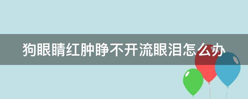 狗眼睛红肿睁不开流眼泪怎么办（狗狗眼肿发红流泪睁不开了）