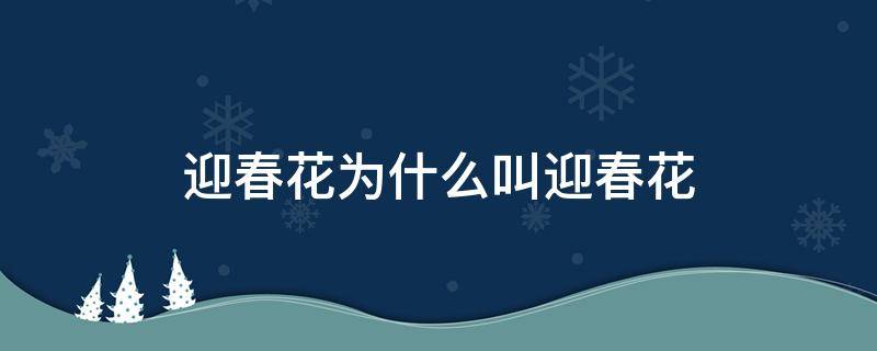 迎春花为什么叫迎春花 迎春花为啥叫迎春花